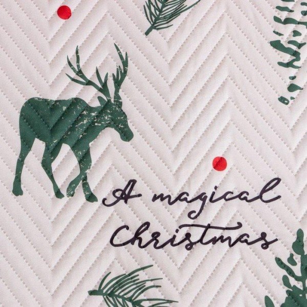 Покрывало Этель 2 сп Magical Christmas, 180х210 см