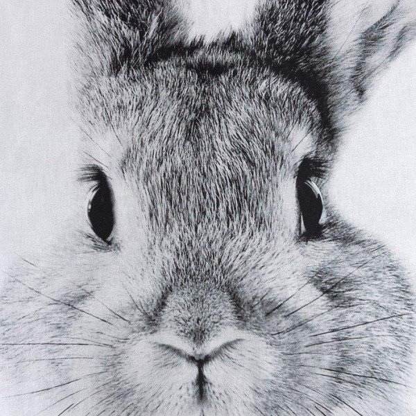 Постельное бельё Этель 1,5 сп "Cute rabbit", 143х215 см, 150х214 см, 50х70 см -1 шт, 100 % хлопок, бязь