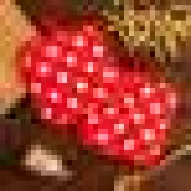 Кухонный набор Доляна «Горох» цв.красный, прихватка 17*17 см - 2 шт,100% п/э
