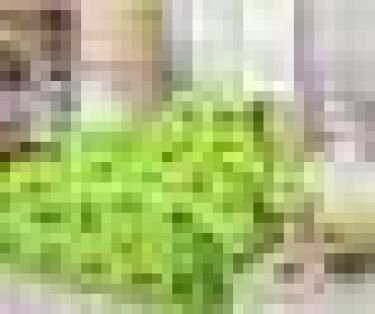 Постельное бельё детское «Алфавит» цвет зелёный, 110х147, 110х150, 40х60см - 1шт