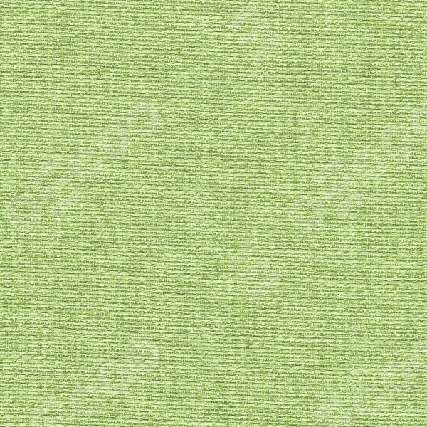 Лён Зеленый 85906