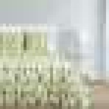 Постельное бельё «Этель» евро Кактусы 200×217 см, 240*220 см, 70×70 см - 2 шт., 100% хл, бязь 125 г/м²